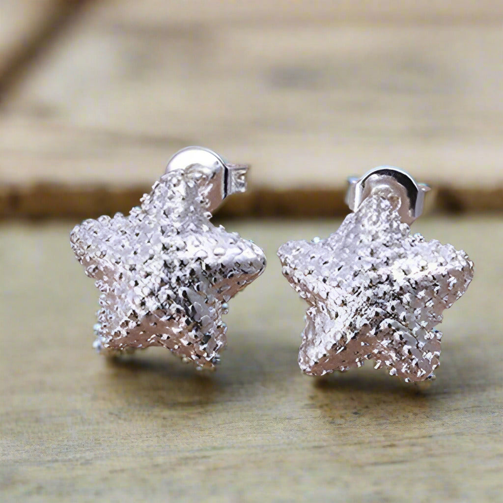 Feshionn IOBI Earrings silver Silver Starfish Stud Earrings