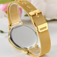 Most Luxurious Black and Mesh Band Watch Unisex
