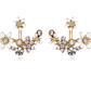 Crystal Garden Flowered Stud Earrings & Jacket In Four Colors