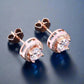 Feshionn IOBI Earrings ON SALE - Enchanted Halo Crystal Stud Earrings